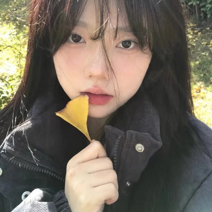 大象菩提